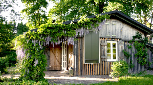 TSCompact Homepage gross